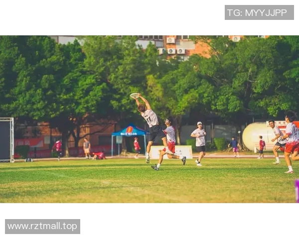 赛后分析：北京飞盘队与武汉飞盘队的战术对决与启示